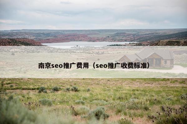 南京seo推广费用（seo推广收费标准）