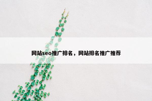 网站seo推广排名，网站排名推广推荐