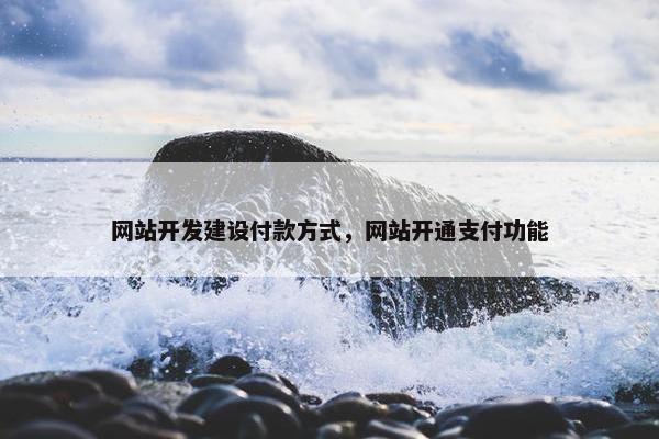 网站开发建设付款方式，网站开通支付功能