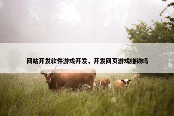 网站开发软件游戏开发，开发网页游戏赚钱吗