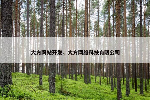 大方网站开发，大方网络科技有限公司