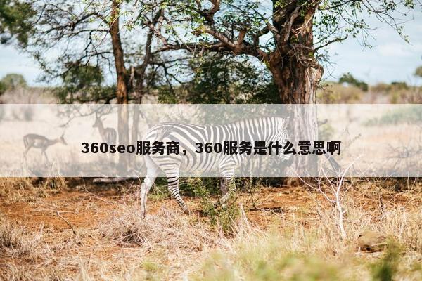 360seo服务商，360服务是什么意思啊