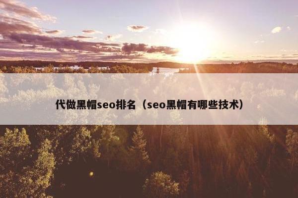 代做黑帽seo排名（seo黑帽有哪些技术）