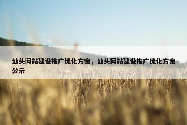 汕头网站建设推广优化方案，汕头网站建设推广优化方案公示