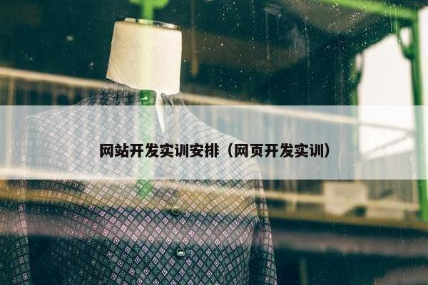 网站开发实训安排（网页开发实训）