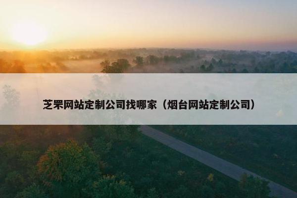 芝罘网站定制公司找哪家（烟台网站定制公司）