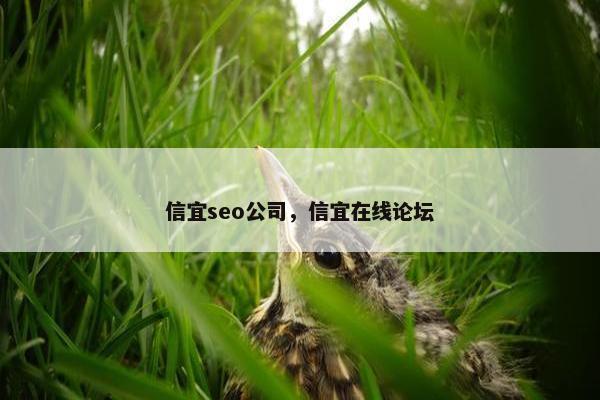 信宜seo公司，信宜在线论坛