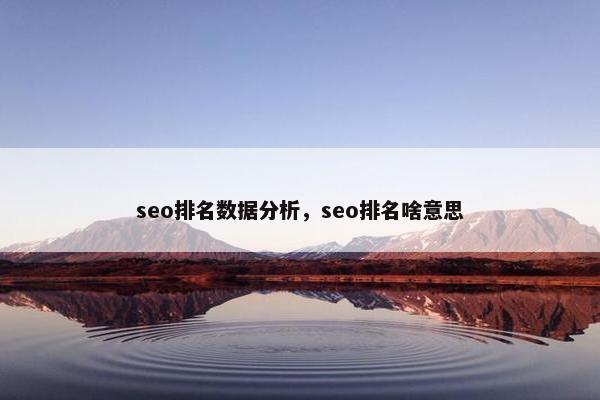 seo排名数据分析，seo排名啥意思