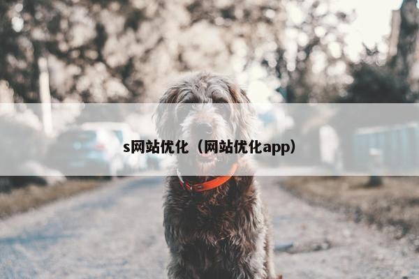 s网站优化（网站优化app）