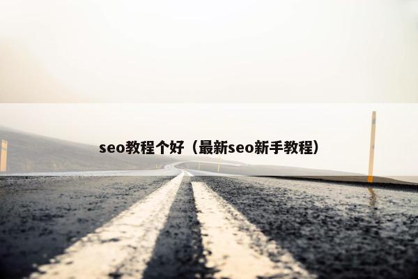 seo教程个好（最新seo新手教程）