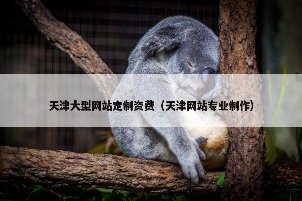 天津大型网站定制资费（天津网站专业制作）
