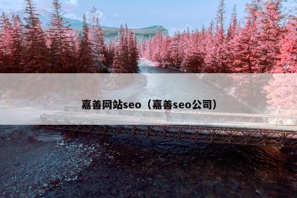 嘉善网站seo（嘉善seo公司）