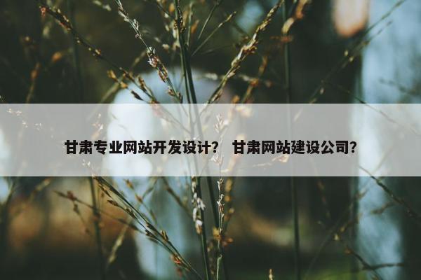 甘肃专业网站开发设计？ 甘肃网站建设公司？