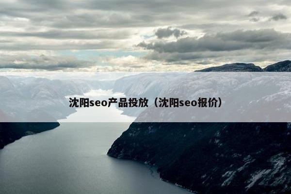 沈阳seo产品投放（沈阳seo报价）