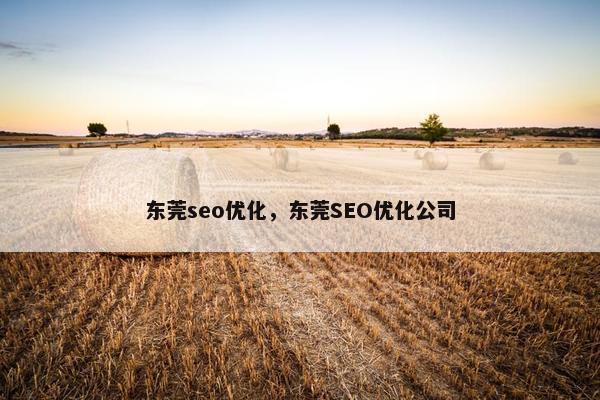 东莞seo优化，东莞SEO优化公司