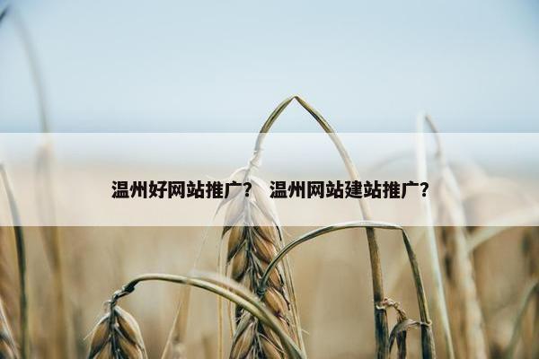 温州好网站推广？ 温州网站建站推广？