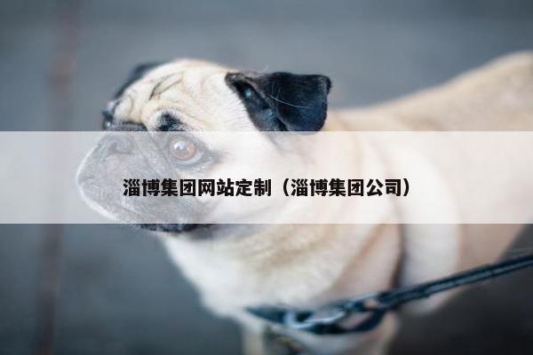 淄博集团网站定制（淄博集团公司）