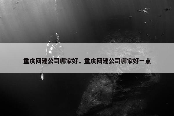 重庆网建公司哪家好，重庆网建公司哪家好一点