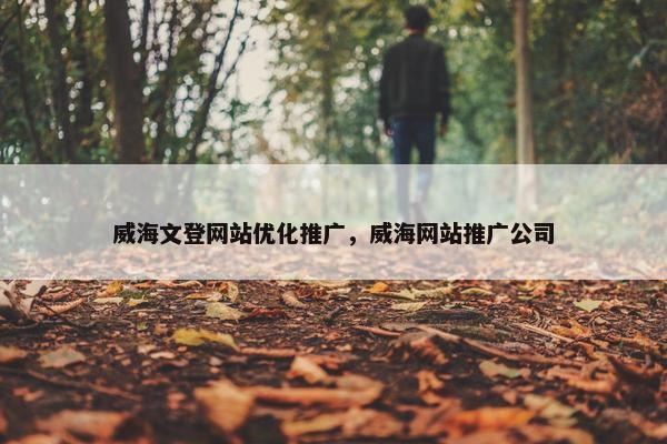 威海文登网站优化推广，威海网站推广公司