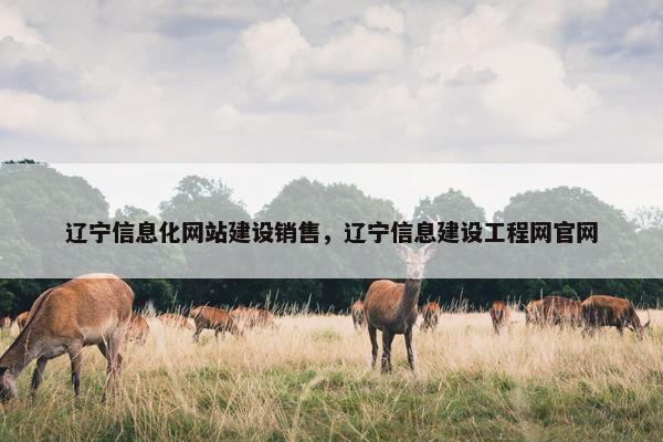辽宁信息化网站建设销售，辽宁信息建设工程网官网