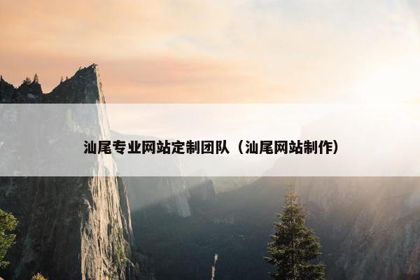 汕尾专业网站定制团队（汕尾网站制作）
