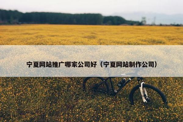 宁夏网站推广哪家公司好（宁夏网站制作公司）