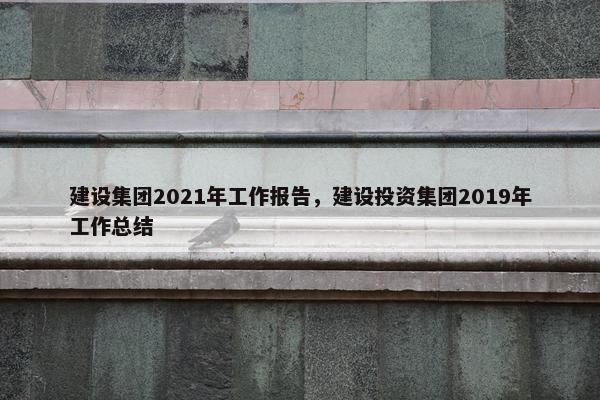 建设集团2021年工作报告，建设投资集团2019年工作总结