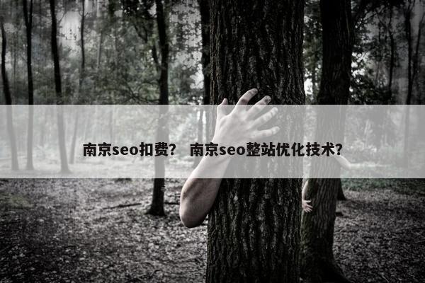 南京seo扣费？ 南京seo整站优化技术？