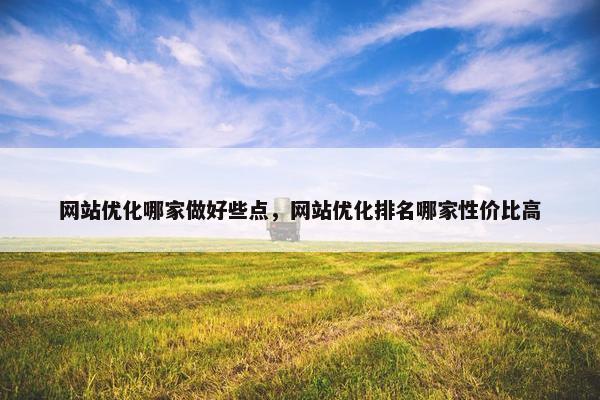 网站优化哪家做好些点，网站优化排名哪家性价比高