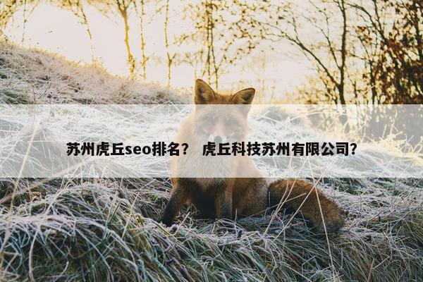 苏州虎丘seo排名？ 虎丘科技苏州有限公司？