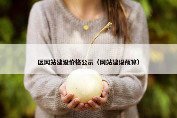 区网站建设价格公示（网站建设预算）