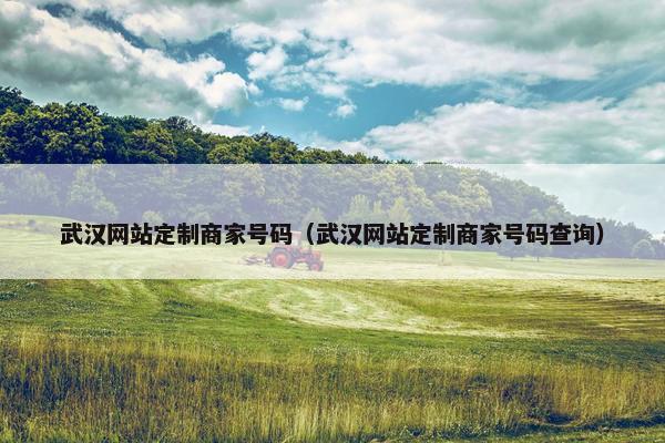 武汉网站定制商家号码（武汉网站定制商家号码查询）