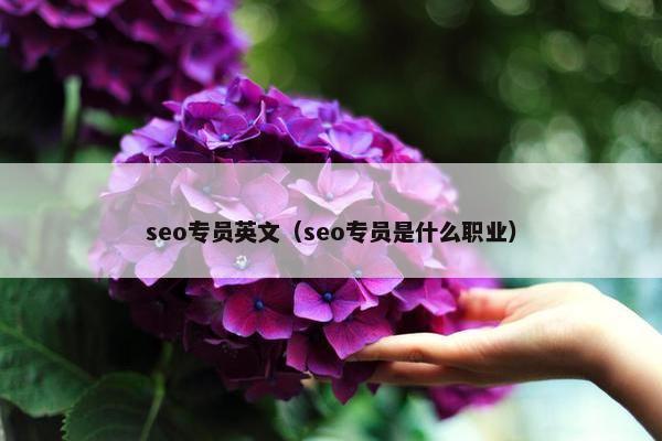 seo专员英文（seo专员是什么职业）