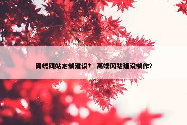 高端网站定制建设？ 高端网站建设制作？