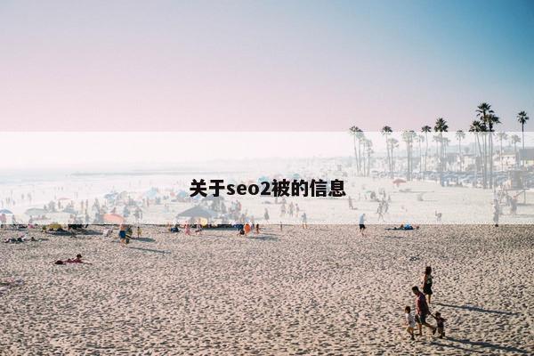 关于seo2被的信息