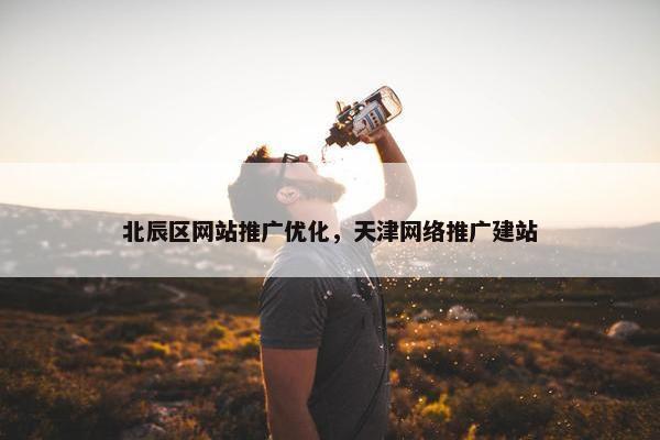 北辰区网站推广优化，天津网络推广建站