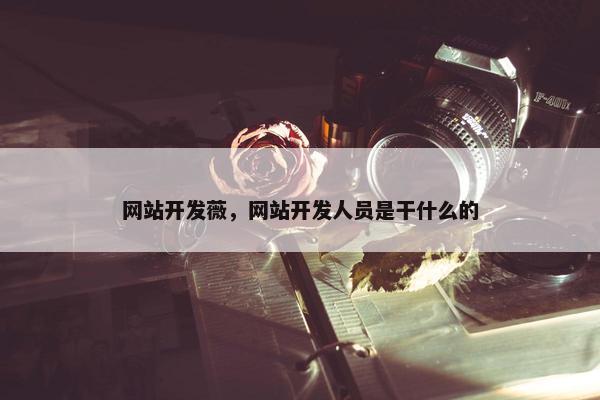 网站开发薇，网站开发人员是干什么的