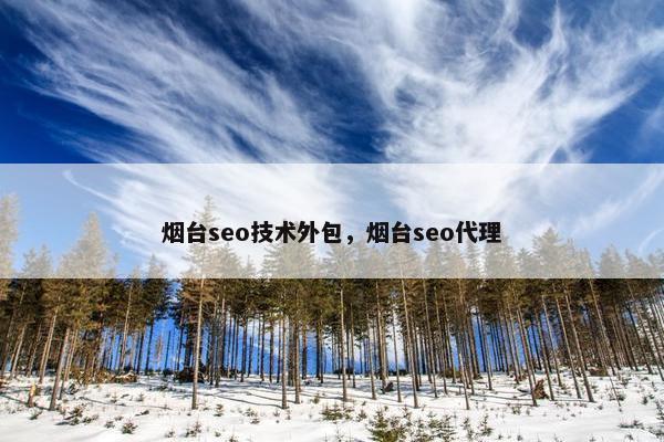 烟台seo技术外包，烟台seo代理