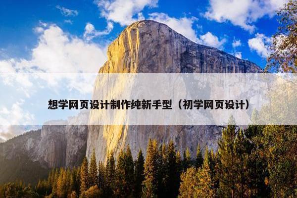 想学网页设计制作纯新手型（初学网页设计）