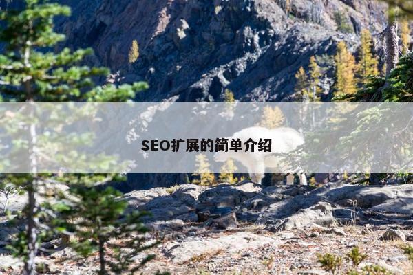 SEO扩展的简单介绍