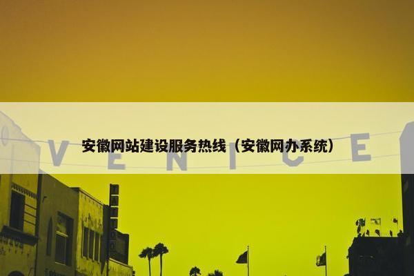 安徽网站建设服务热线（安徽网办系统）