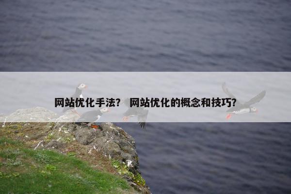 网站优化手法？ 网站优化的概念和技巧？