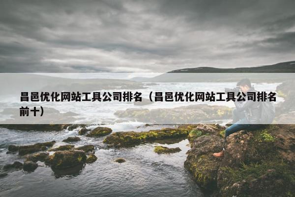 昌邑优化网站工具公司排名（昌邑优化网站工具公司排名前十）