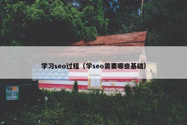 学习seo过程（学seo需要哪些基础）