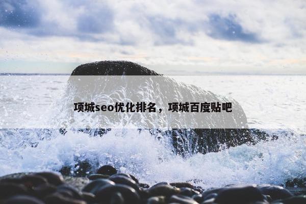 项城seo优化排名，项城百度贴吧