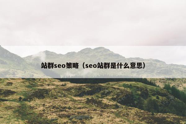站群seo策略（seo站群是什么意思）
