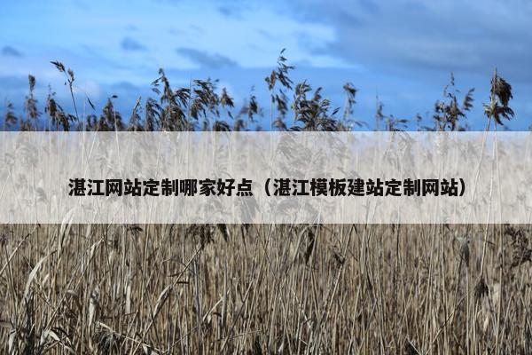 湛江网站定制哪家好点（湛江模板建站定制网站）
