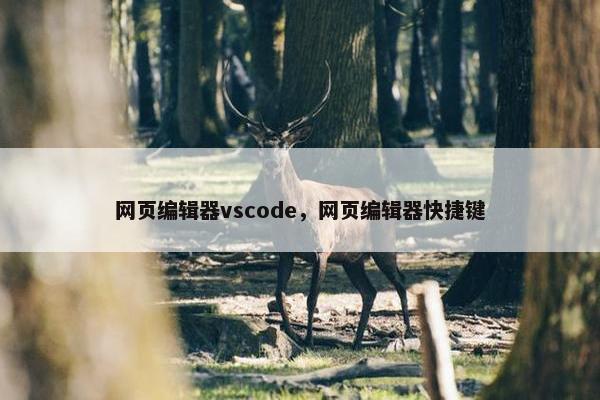 网页编辑器vscode，网页编辑器快捷键