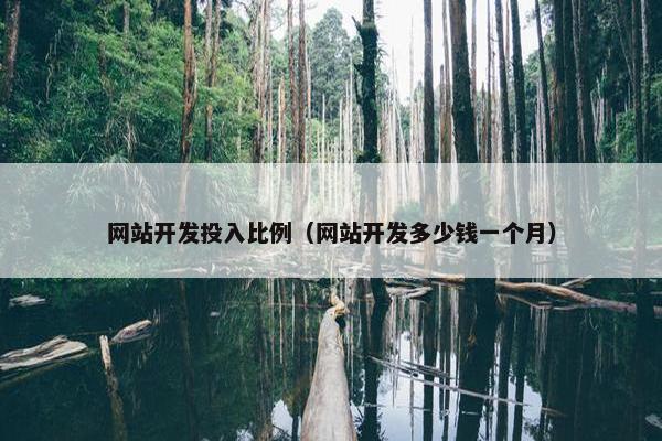 网站开发投入比例（网站开发多少钱一个月）