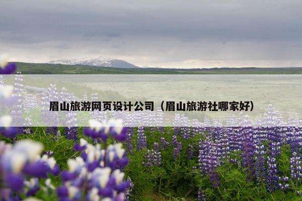 眉山旅游网页设计公司（眉山旅游社哪家好）